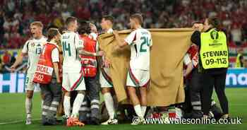 Hungary star shielded and stretchered off and Liverpool star in tears after sickening collision vs Scotland