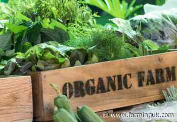 Organic certification body calls for &#39;radical&#39; policy change