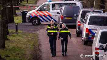 Verdachte opgepakt voor leveren wapens aan schutter Weiteveen