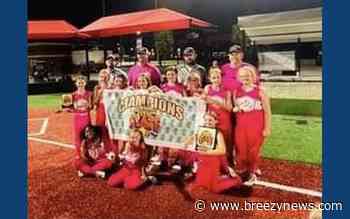 Photo: Local softball wins state tournament