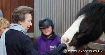 Everything we know about Princess Anne's injury after being 'kicked in the head by horse'