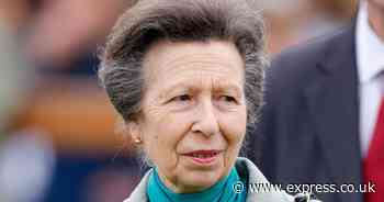 Princess Anne in hospital after sustaining 'minor injuries' in shock incident