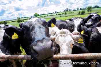 Genomic testing widens gap between best and worst dairy herds