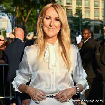 Inside Céline Dion's Inspiring Health Battle