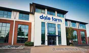 Dale Farm posts profit rise despite &#163;97m fall in turnover