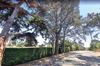 Four heritage Torrey pines added on Melba in Encinitas