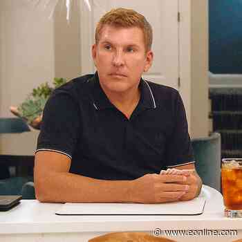 Where Todd Chrisley's Appeal Stands Amid Julie's Overturned Sentencing