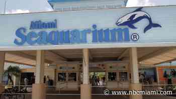 Miami-Dade files lawsuit to evict owners of Miami Seaquarium
