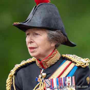 Princess Anne Experiencing Memory Loss Related to Hospitalization