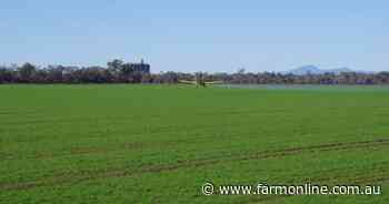 Quality farming and irrigation property sold under the hammer