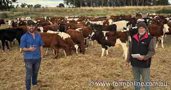 Genomics is advancing herd improvement of red dairy breeds in Australia