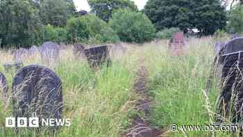 Overgrown cemetery labelled 'disgrace' by visitors