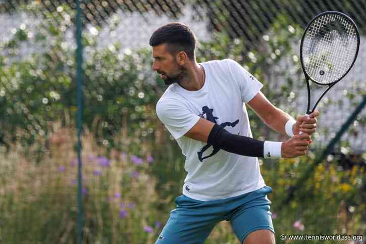 Ana Ivanovic believes in Novak Djokovic: "He will win other Slams"