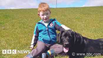 Boy, 4, left behind at wildlife park after nursery trip