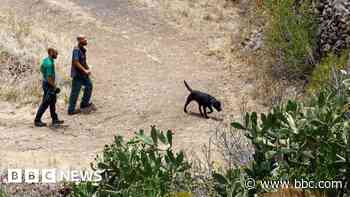 Specially trained dogs arrive to help Jay Slater search
