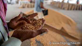 Knappe Lebensmittel sorgen für teure Agrarrohstoffe