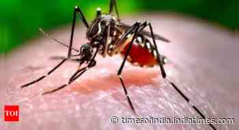 Maharashtra: Two Zika virus cases reported in Pune