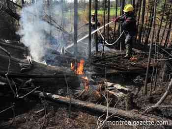 Rain should help put a damper on forest fires raging on Quebec's North Shore
