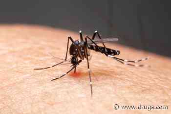 CDC Warns of Rising Threat of Dengue This Summer