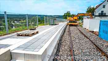 Hesse-Bahn in Calw: Wie ein Fledermaus-Provisorium den Zeitplan rettet
