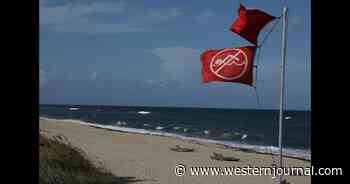 Seventh Tourist Dies on a Florida Beach - The Danger Is in the Water