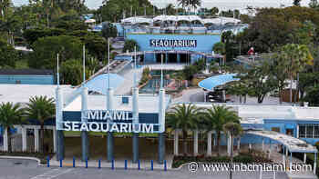 Miami Seaquarium vows to fight ‘frivolous' eviction suit, says ticket sales down 40%