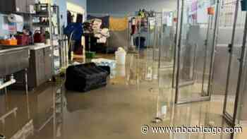 Flooding at suburban animal shelter leaves numerous animals in need of foster homes