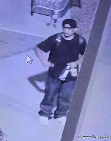 UNM Police searching for stabbing suspect