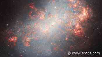 See a starburst galaxy, ablaze with explosive star birth, devouring dwarf galaxies (video)