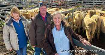 Mixed market messages for NSW cattle sales