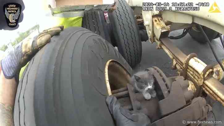 Ohio kitten trapped in semi-truck's wheel well: See the 'Mission Im-paw-sible' rescue video