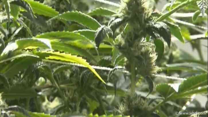 Gov. Landry vetoes bill that would have pardoned marijuana offenders