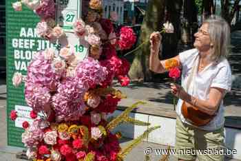 Bloemen fleuren straatmeubilair op in Antwerpen en je mag ze gratis meenemen: “Waarom? Zomaar”