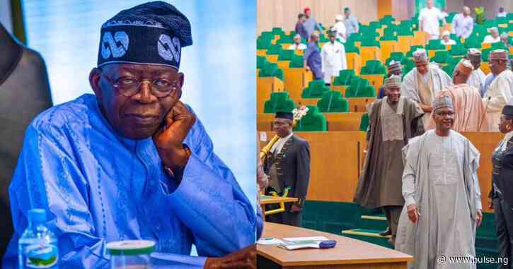 House of Reps in disarray over Tinubu's ₦21.83trn budget extension request
