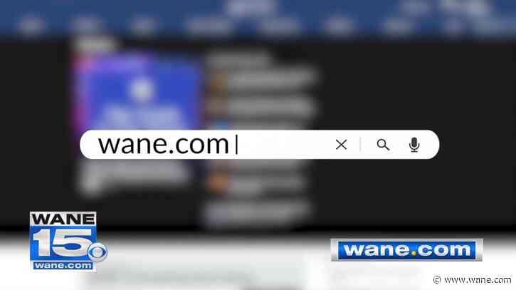 Platinum Perspective: Launch of wane.com
