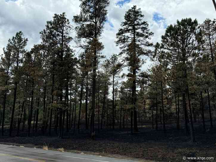 Officials confirm missing Ruidoso residents all accounted for