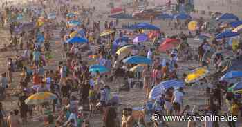 Blutiger Unfall: Sonnenschirm am Strand von Florida spießt Urlauberin den Fuß auf