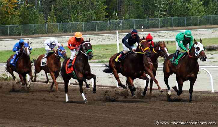 Horses at Evergreen Park event returns to Grande Prairie