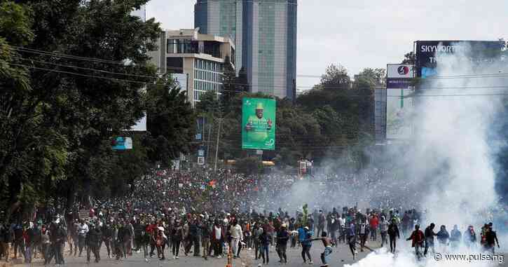 Key differences in violent protests: Uganda vs. Kenya