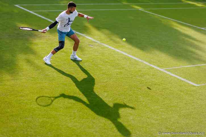 'It was the only thing Novak Djokovic had left to do', says ATP ace
