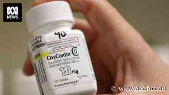 US Supreme Court blocks Oxycontin maker's bankruptcy which shielded Sackler family