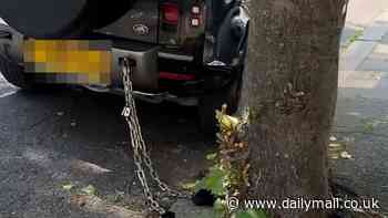 Desperate Landrover owners are now chaining their cars to TREES to stop 4x4s being stolen in lawless London