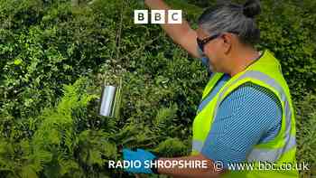 Testing the water in south Shropshire