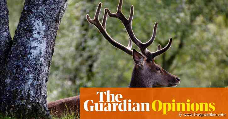 Digested week: A sadly corrupted deer and the coming cyborg apocalypse
