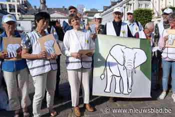 Grootouders voor het Klimaat trekken naar Vlaamse regering: “Klimaat is de olifant in de kamer van de politiek”