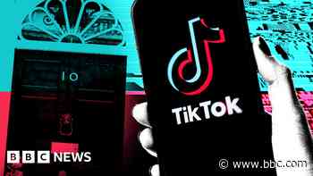 Is this really the TikTok general election?