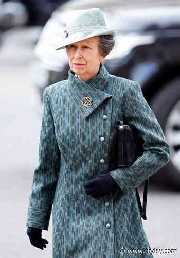 Princess Anne discharged from the hospital after head injury