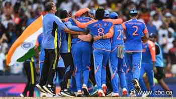India wins the T20 World Cup in a thrilling final against South Africa