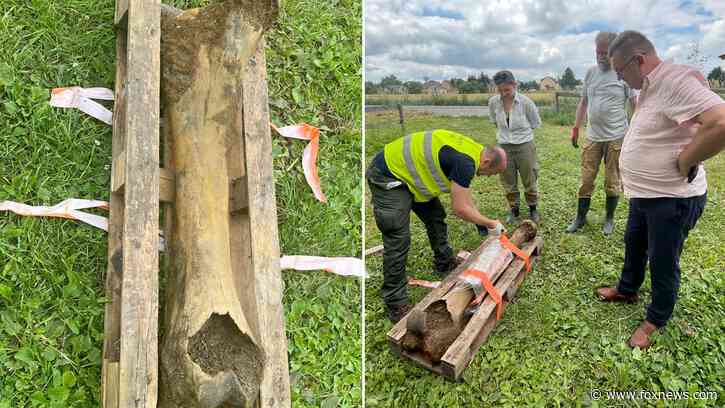 Fisherman discovers mammoth bone, 'thick as a human leg,' dating back to the Ice Age