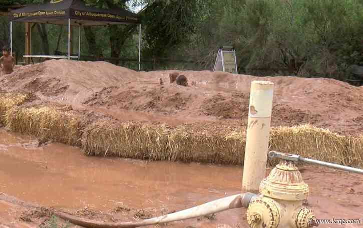 International Mud Day celebrations bring family fun to Albuquerque